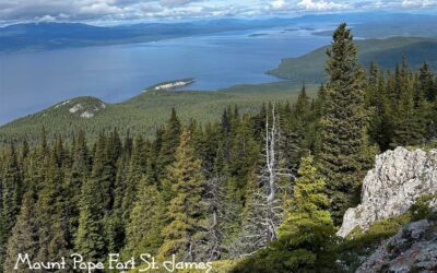 Job Opportunity Healthcare Recruiter